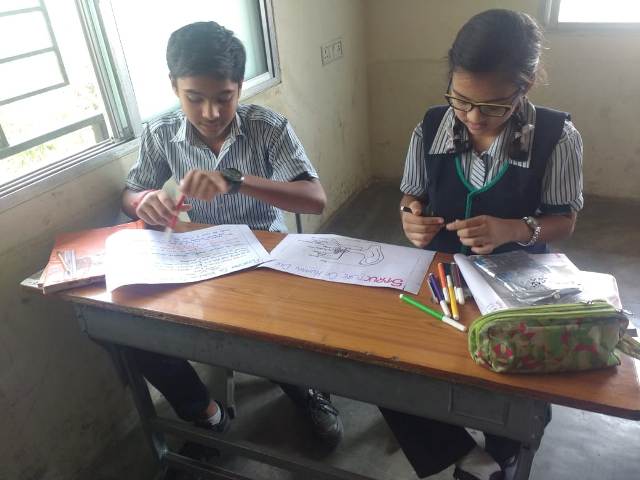 Activity Gallery